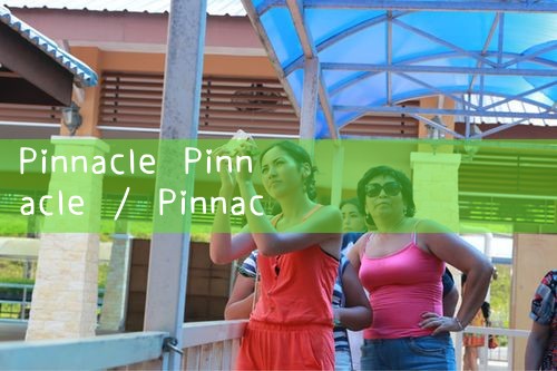 พินนาเคิล|Playme8|ufabet|fun88