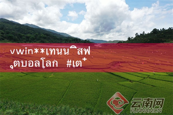 vwin**เทนนิสฟุตบอลโลก|10bet|allbet|ufabet