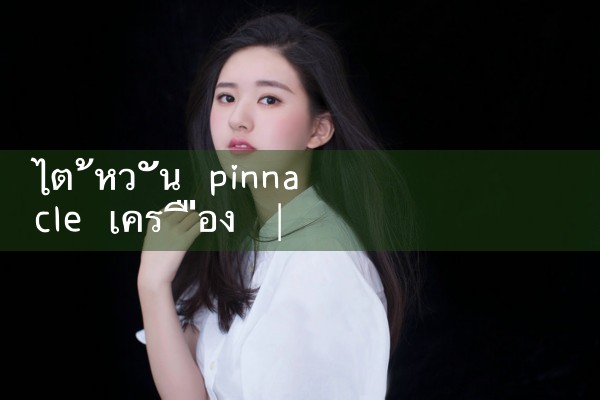 เครื่อง pinnacle ไต้หวัน|Playme8|ufabet|fun88