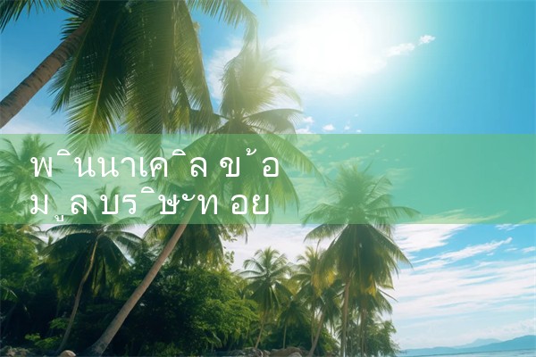 ข้อมูล บริษัท pinnacle อยู่ที่ไหนใน Ningbo|playme8|fun88