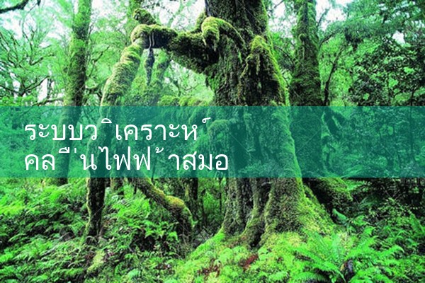 ระบบวิเคราะห์ EEG ของสัตว์ขนาดเล็ก pinnacle|pm8club|fun88|playme8