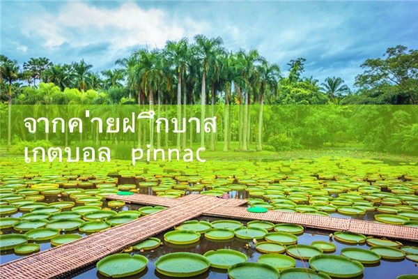 จาก Pinnacle Basketball Bootcamp|pm8club|fun88|playme8