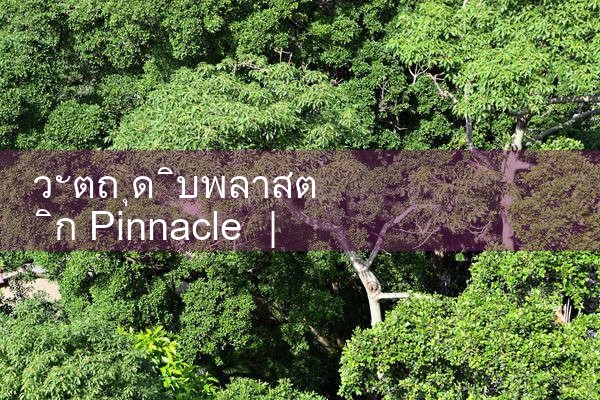Pinnacle วัตถุดิบพลาสติก|Playme8|ufabet|fun88