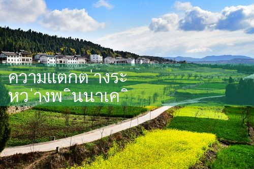 พินนาเคิลและความแตกต่างด้านบน|Playme8|ufabet|fun88