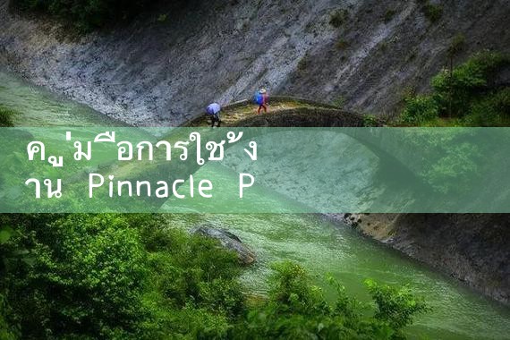 คู่มือการใช้งาน Pinnacle Plan System|Playme8|ufabet|fun88