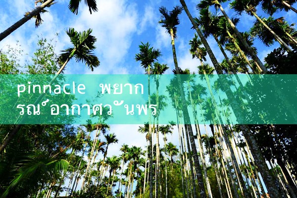 พินนาเคิลพยากรณ์อากาศสำหรับวันพรุ่งนี้|playme8|fun88