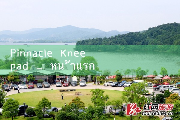 แผ่นรองเข่า Pinnacle|Playme8|ufabet|fun88