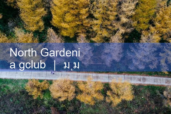 นอร์ท การ์เด้น|gcluab|10bet|fun88