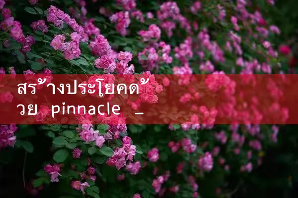 สร้างประโยคด้วย pinnacle|playme8|fun88