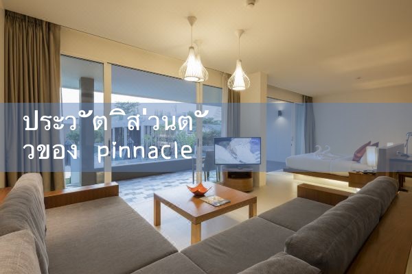 ประวัติส่วนตัวของ pinnacle|pm8club|fun88|playme8