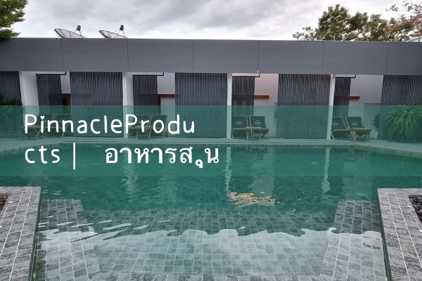 pinnacleproducts|pm8club|fun88|playme8