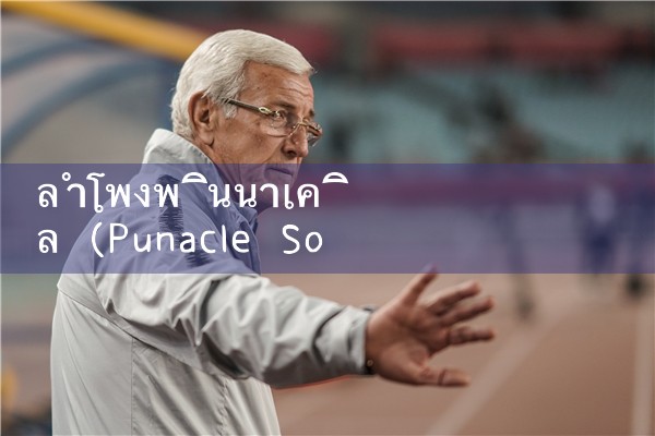 ลำโพง Pinnacle|pm8club|fun88|playme8