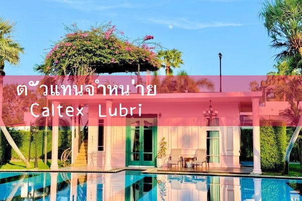 ขายส่ง Caltex Pinnacle|pm8club|fun88|playme8