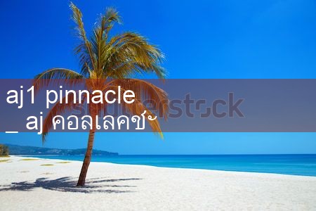 aj1 pinnacle|pm8club|fun88|playme8