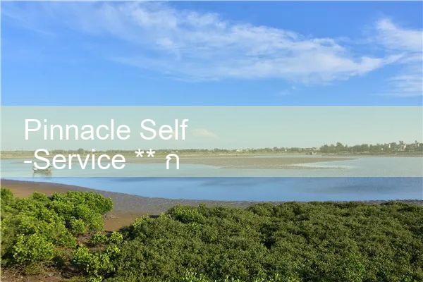 Pinnacle Self-Service ** กลยุทธ์การเขียนโปรแกรม|Playme8|ufabet|fun88